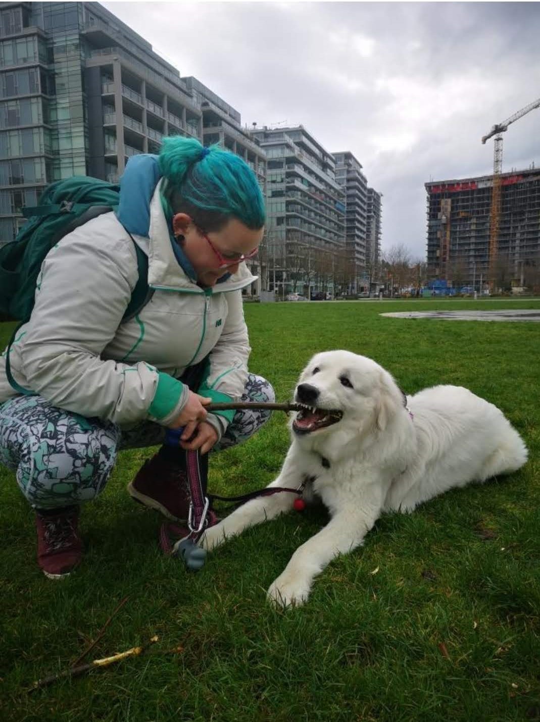 Vancouver Dog Walker - photo 2