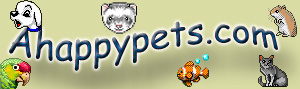 Pet care information, A happy pets