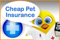 cheap pet insurance