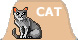 images/cat2.jpg