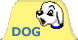 images/dog2.jpg