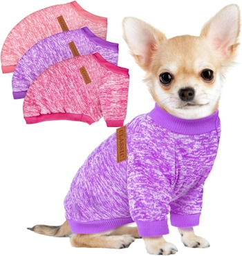 Dog clothes
